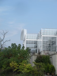 vertical wind turbine