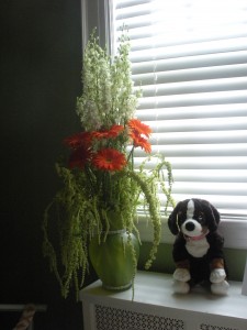 floral display and stuffed dog